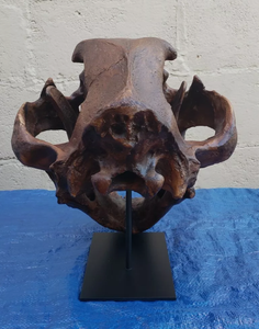 American Lion Skull Tapit Finish Cast Replica Reproduction