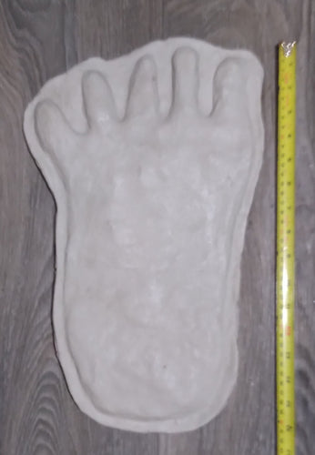 1976(?) Yowie Australian Yowie Footprint Yeti Footprint track cast Cryptozoology Yowie Bigfoot Cast Replica Footprint