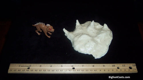 2007 Chupacabra footprint track cast replica