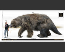 Load image into Gallery viewer, Eremotherium Ground Sloth claw cast replica