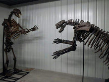 Load image into Gallery viewer, Megalonyx ground sloth skeleton cast replica