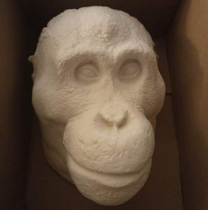 Orangutan Death Mask #1 Orangutan (female) death cast replica Life cast