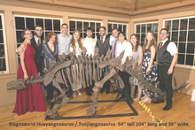 Load image into Gallery viewer, Stegosaurus skeleton cast replica #1