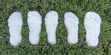 Load image into Gallery viewer, 1982 Set of 5 Grays Harbor Hereford Bigfoot print casts replicas