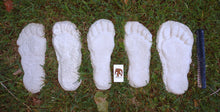 Load image into Gallery viewer, 1982 Set of 5 Grays Harbor Hereford Bigfoot print casts replicas