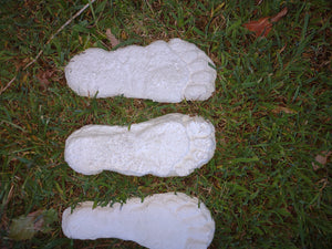 1982 Set of 5 Grays Harbor Hereford Bigfoot print casts replicas