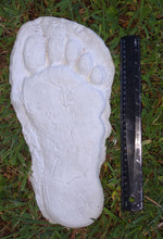 Load image into Gallery viewer, 1982 Set of 5 Grays Harbor Hereford Bigfoot print casts replicas