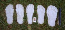 Load image into Gallery viewer, 1982 Set of 5 Grays Harbor Hereford Bigfoot print casts replicas