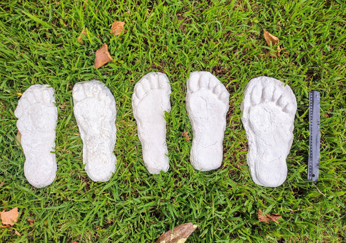 1982 Set of 5 Grays Harbor Hereford Bigfoot print casts replicas