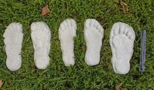 Load image into Gallery viewer, 1982 Set of 5 Grays Harbor Hereford Bigfoot print casts replicas