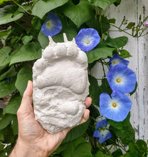 画像をギャラリービューアに読み込む, Bear: Footprint Adult Black Bear Footprint #1 Cast Replica