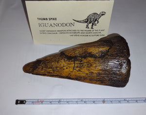 Iguanodon Thumb Spike claw cast replica