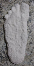 Load image into Gallery viewer, 2008 Bigfoot print cast from Yosemite National Park 2008 Yosemite Bigfoot cast replica