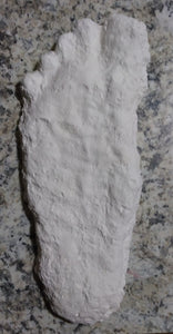 2008 Bigfoot print cast from Yosemite National Park 2008 Yosemite Bigfoot cast replica