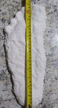 Load image into Gallery viewer, 2008 Bigfoot print cast from Yosemite National Park 2008 Yosemite Bigfoot cast replica