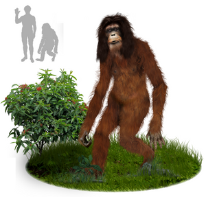 2013 Orang Pendek #3 footprint cast replica #3 (leaf)