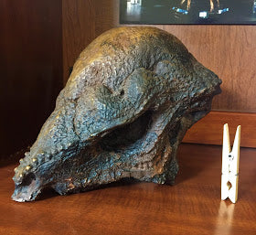 Prenocephale skull cast replica Dinosaur reproductive