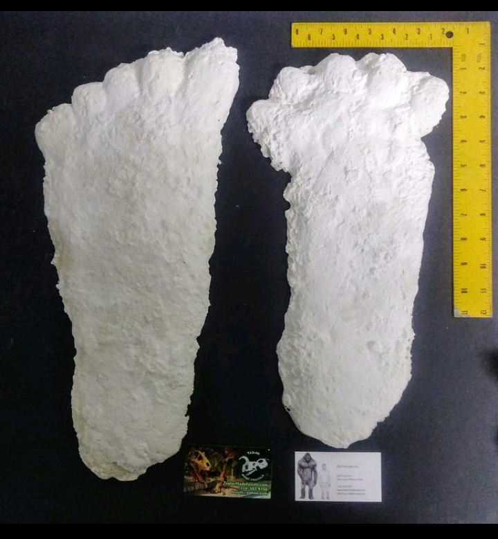 1963 Hyampom A cast Bigfoot (Sasquatch) cast