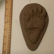 Load image into Gallery viewer, Bear: Footprint Juvenile Black Bear Footprint Cast Replica