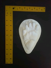 Load image into Gallery viewer, Bear: Footprint Juvenile Black Bear Footprint Cast Replica