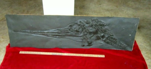 Ichtyosaurus cast Excalibosaurus marine reptile (TMF ICHTY 2)