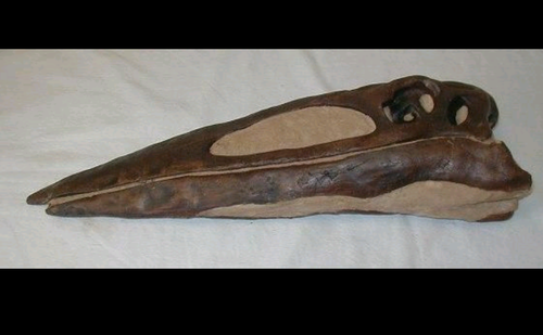 Quetzalcoatlus
Pterodactyloid Pterosaur