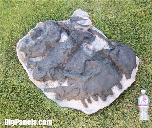 Camarasaurus skull cast replica #4