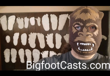 Load image into Gallery viewer, 19xx Alma Footprint track cast from Russia Cryptozoology AlmastyAlmas Footprint BIGFOOT