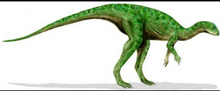 Load image into Gallery viewer, Rent a Dinosaur: Othneilia Nanosaurus rex dinosaur skeleton cast replica