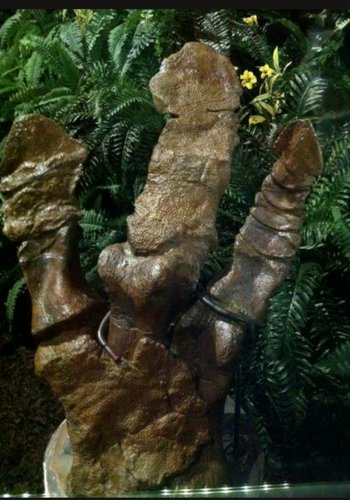 Hadrosaurus:. Mary Ann the Hadrosaur