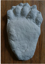 Load image into Gallery viewer, Bear: Adult Black Bear footprint cast replica