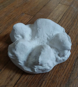 Wolf footprint cast replica