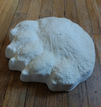 Load image into Gallery viewer, Bear: Footprint Adult Polar Bear footprint cast replica