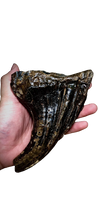 Load image into Gallery viewer, Fossil Mammoth tooth cast replica 2022A