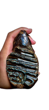 Load image into Gallery viewer, Fossil Mammoth tooth cast replica 2022A