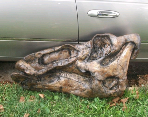 Edmontosaurus Skull Plaque cast replica Dinosaur
