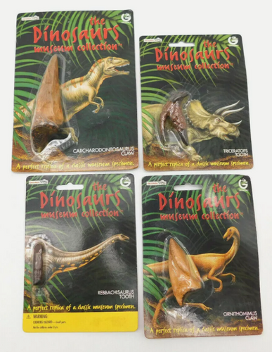 Dinosaur 4 Tooth & Claw Cast Collection Triceratops: Large Triceratops Tooth cast replica with root