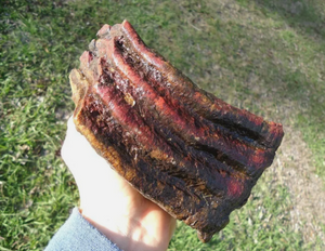 Mammoth: Colorful Fossil Mammoth tooth