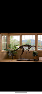 Lufengosaurus skeleton cast replica dinosaur for sale or rent