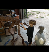 Load image into Gallery viewer, Lufengosaurus skeleton cast replica dinosaur for sale or rent