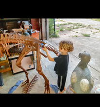 Load image into Gallery viewer, Lufengosaurus skeleton cast replica dinosaur for sale or rent