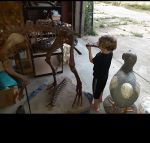 Lufengosaurus skeleton cast replica dinosaur for sale or rent