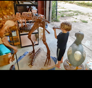 Lufengosaurus skeleton cast replica dinosaur for sale or rent