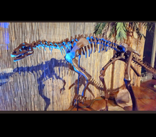 Laden Sie das Bild in den Galerie-Viewer, Lufengosaurus skeleton cast replica dinosaur for sale or rent