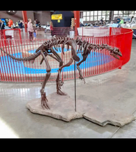 Load image into Gallery viewer, Lufengosaurus skeleton cast replica dinosaur for sale or rent