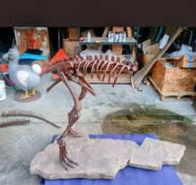 Load image into Gallery viewer, Lufengosaurus skeleton cast replica dinosaur for sale or rent