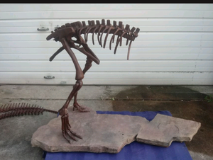 Lufengosaurus skeleton cast replica dinosaur for sale or rent