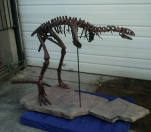 Lufengosaurus skeleton cast replica dinosaur for sale or rent