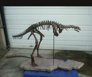 Lufengosaurus skeleton cast replica dinosaur for sale or rent