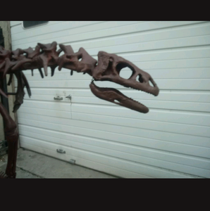 Lufengosaurus skeleton cast replica dinosaur for sale or rent